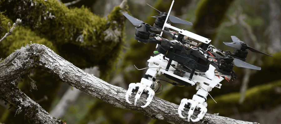 Drone Creative Inspiration