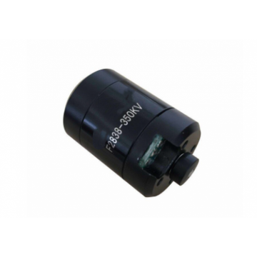 F2838 350KV SeaDrive-Waterproof Brushless Motor