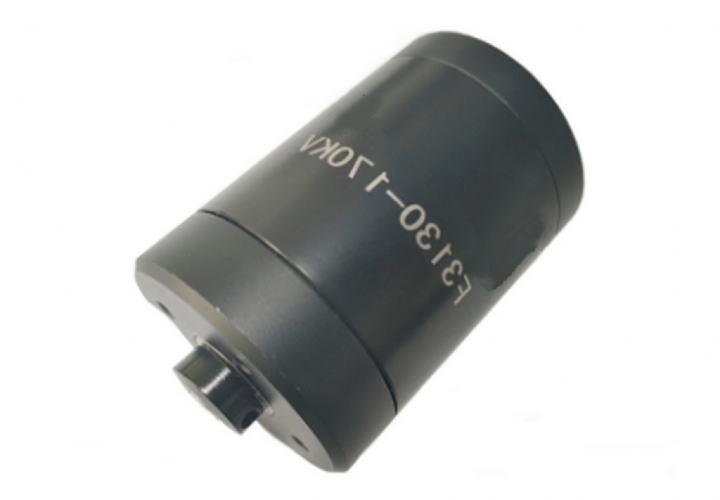 F3130 170KV SeaDrive-Waterproof Brushless Motor