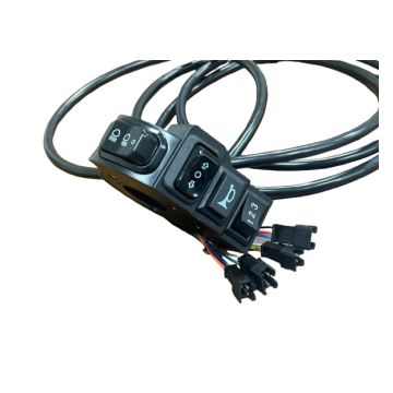 Electric Scooter Switch