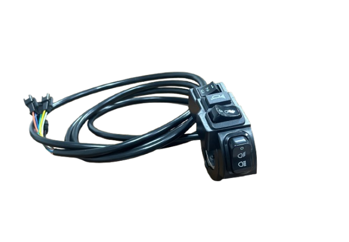 Electric Scooter Switch